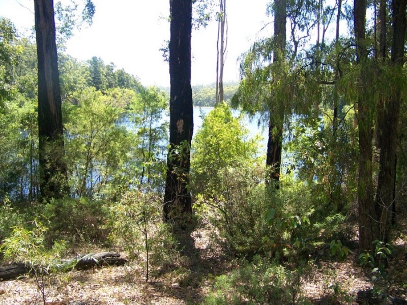 Lot 143 Karri Lane, Quinninup WA 6258