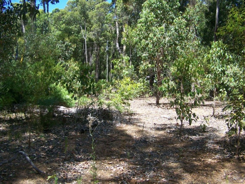 Lot 143 Karri Lane, Quinninup WA 6258