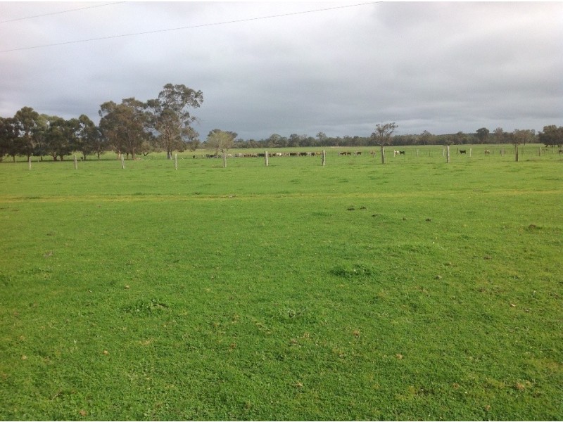 nl12665 muir highway, Manjimup WA 6258