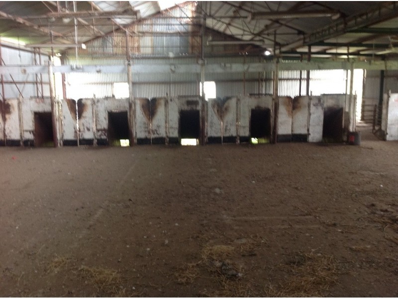 nl12665 muir highway, Manjimup WA 6258