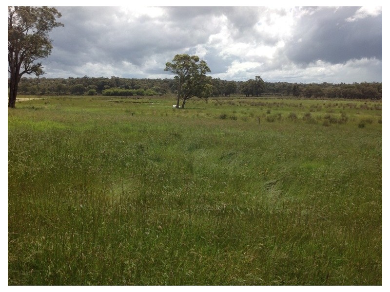 Lot 862 Richardson Road, Northcliffe WA 6262