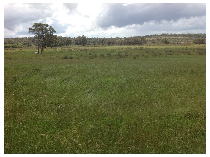 Lot 862 Richardson Road, Northcliffe WA 6262