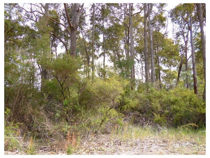 Lot 122 Betsworth Street, Northcliffe WA 6262