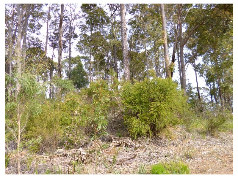 Lot 122 Betsworth Street, Northcliffe WA 6262