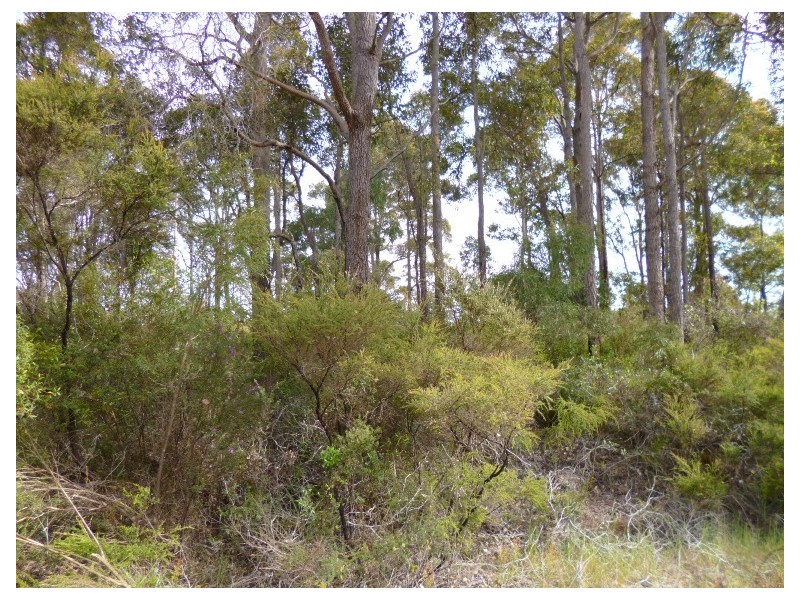 Lot 122 Betsworth Street, Northcliffe WA 6262