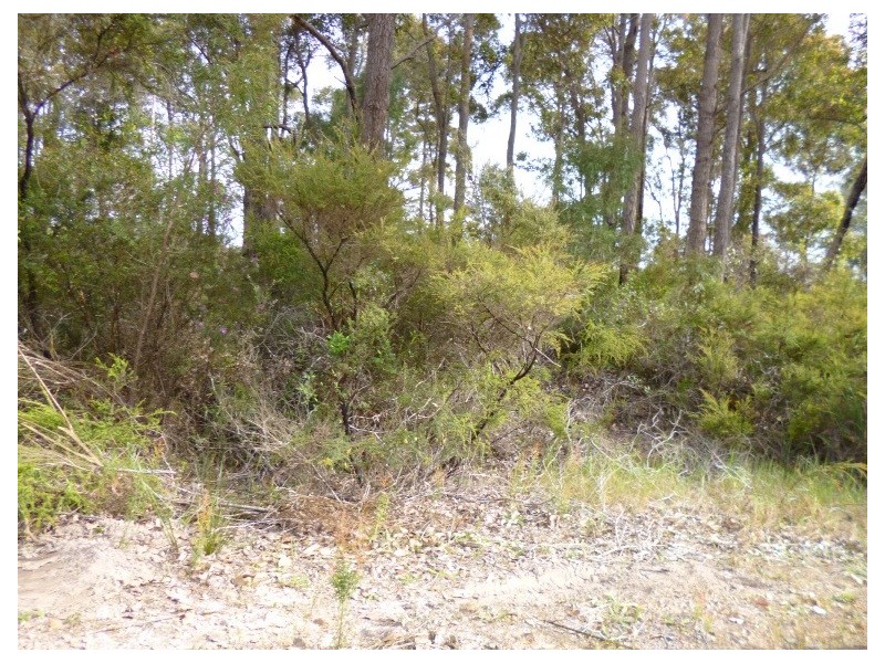 Lot 122 Betsworth Street, Northcliffe WA 6262