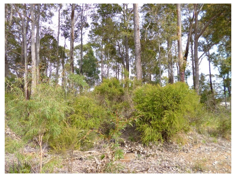 Lot 122 Betsworth Street, Northcliffe WA 6262