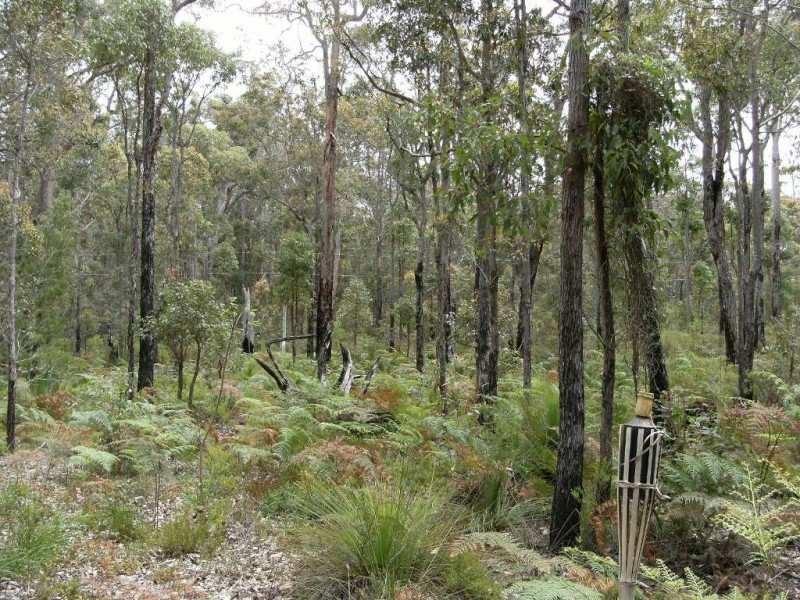 Lot 43 Karri Lane, Quinninup WA 6258