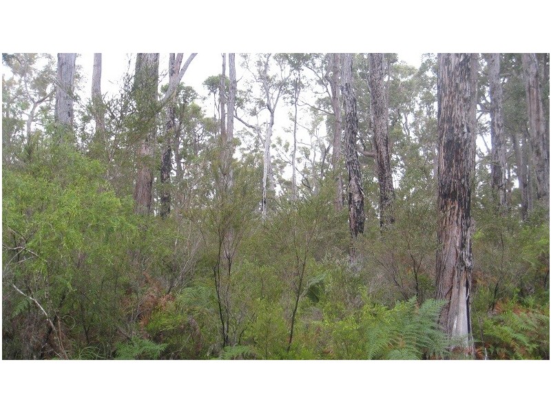 Lot 43 Karri Lane, Quinninup WA 6258