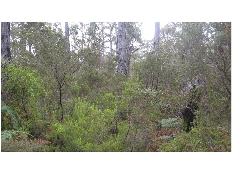 Lot 43 Karri Lane, Quinninup WA 6258