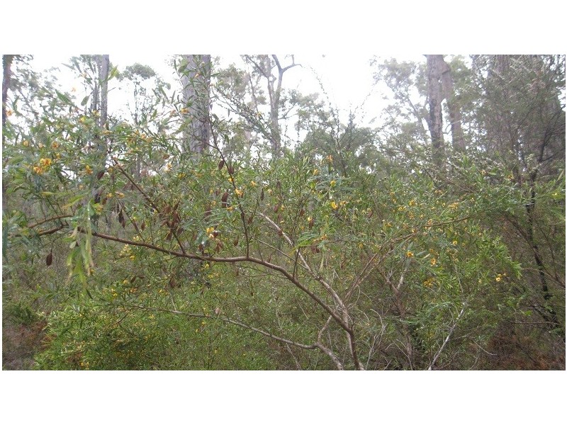 Lot 43 Karri Lane, Quinninup WA 6258