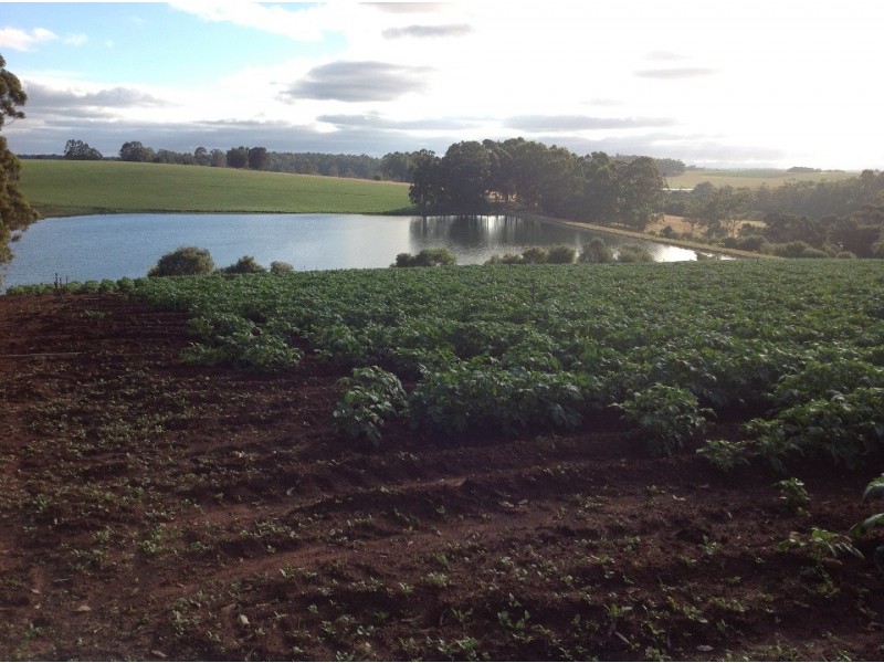 5189 Diamond tree road, Manjimup WA 6258