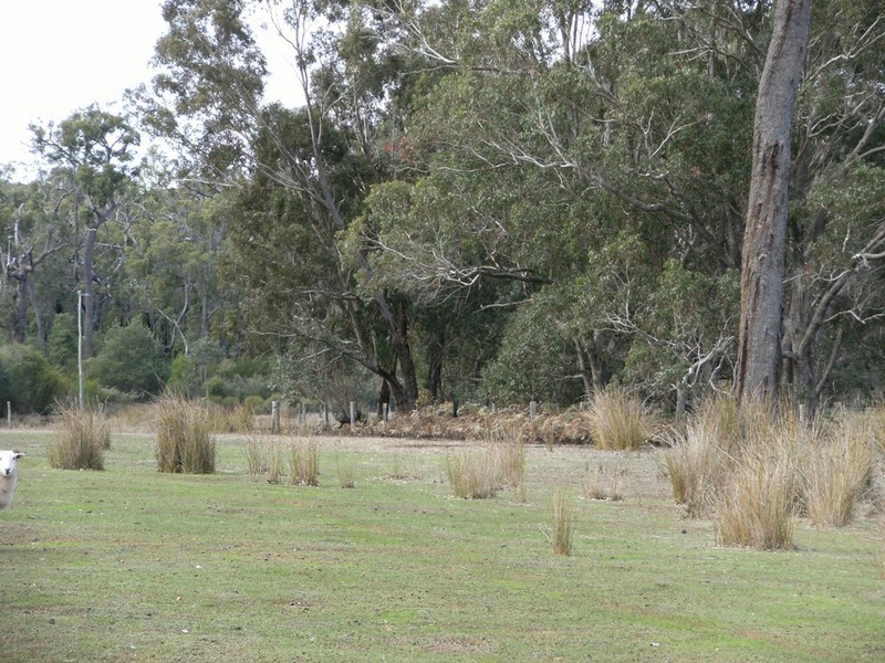 nl Marginata Road, Manjimup WA 6258