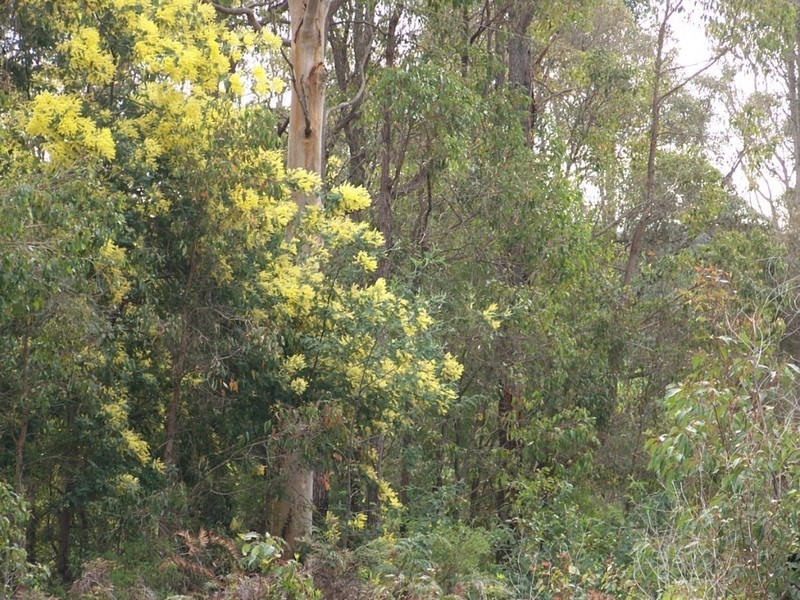 857 Dibb Road, Manjimup WA 6258