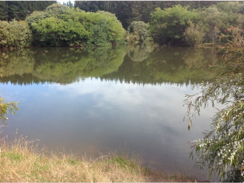 LOT 9873 RIVERWAY, Northcliffe WA 6262