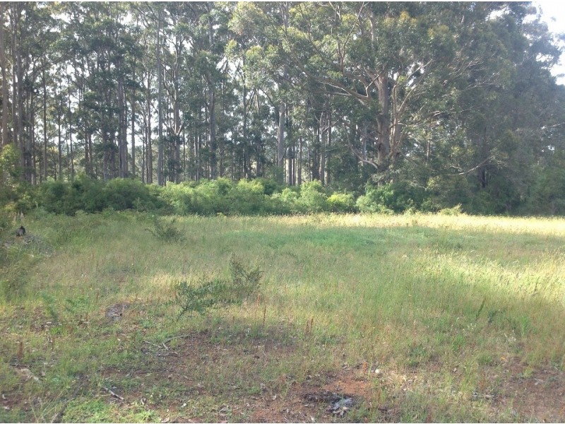 LOT 9873 RIVERWAY, Northcliffe WA 6262