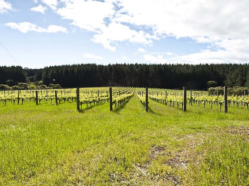 LOT 9873 RIVERWAY, Northcliffe WA 6262