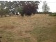 LOT I008 GRAPHITE ROAD, Manjimup WA 6258