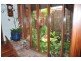 8 KAMMANN, Manjimup WA 6258
