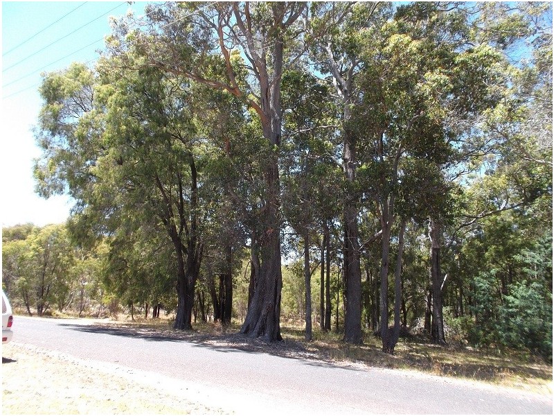 135 Banksia Street, Northcliffe WA 6262