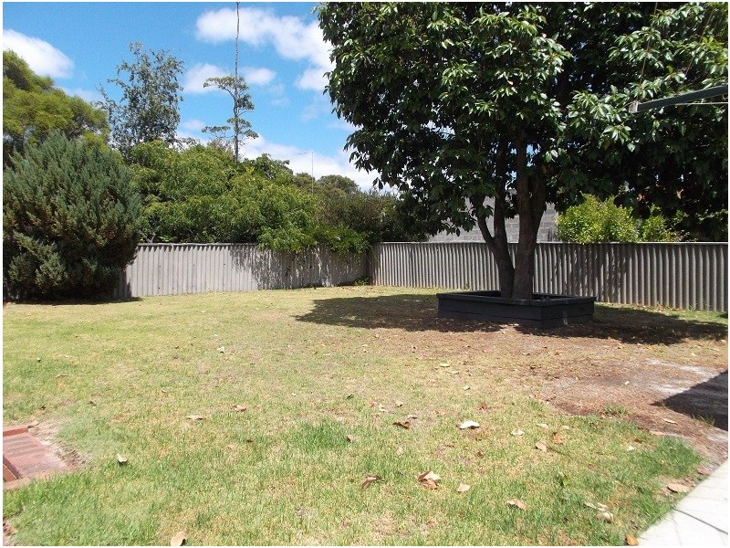 11 Needs Street, Manjimup WA 6258