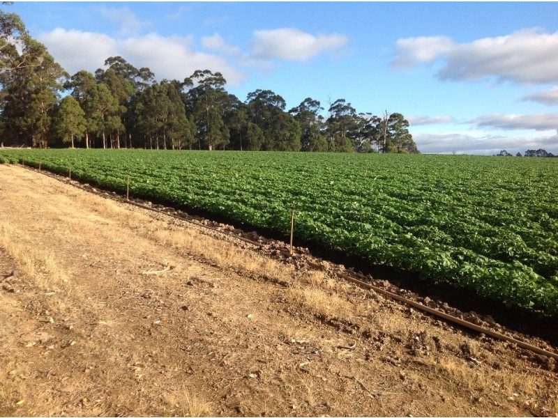 5189 /5190 Diamond tree road, Manjimup WA 6258