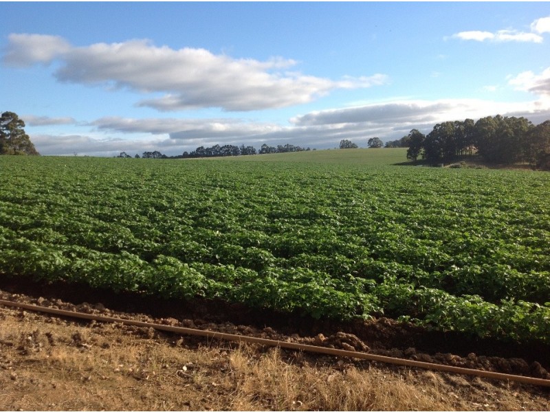 5189 /5190 Diamond tree road, Manjimup WA 6258