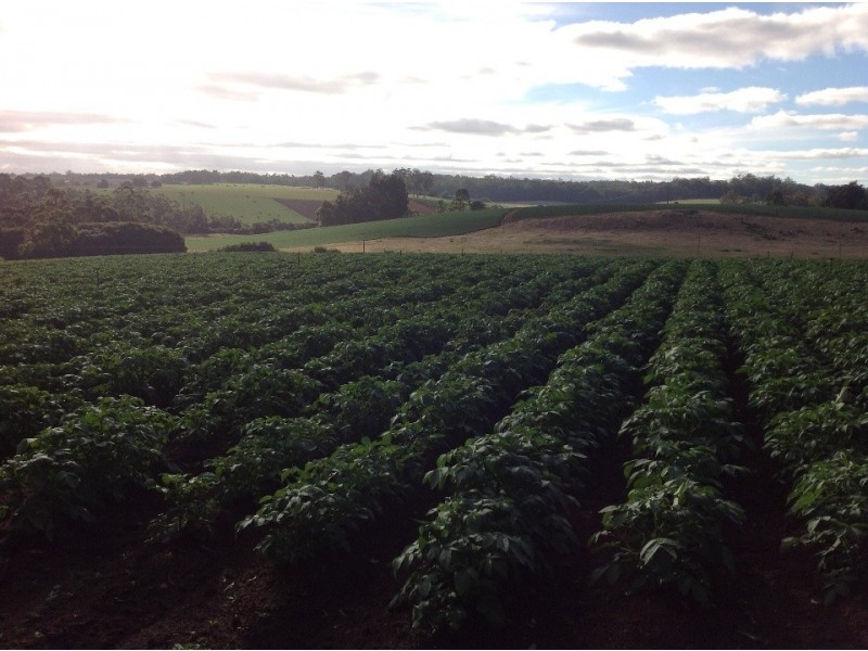 5189 /5190 Diamond tree road, Manjimup WA 6258