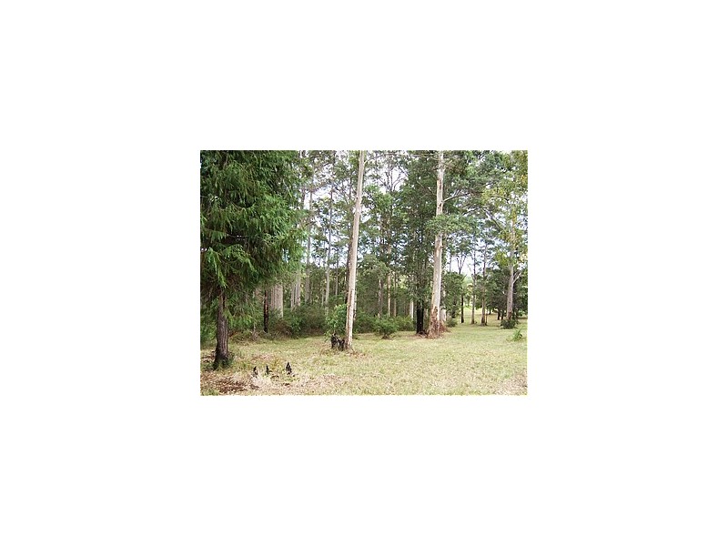 16 Forestry Glen, Pemberton WA 6260