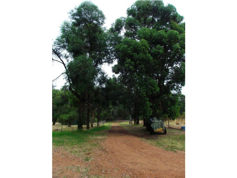 806 Balbarrup Road, Manjimup WA 6258