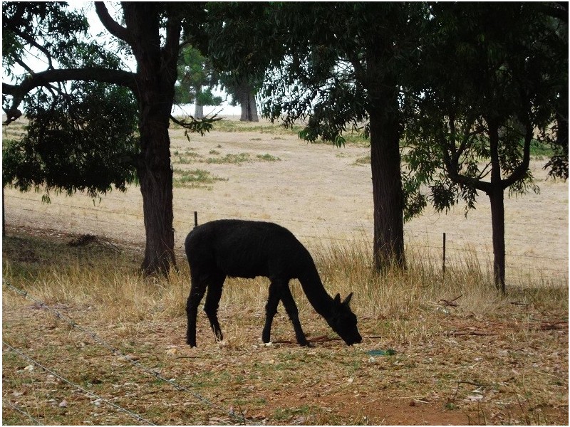 806 Balbarrup Road, Manjimup WA 6258
