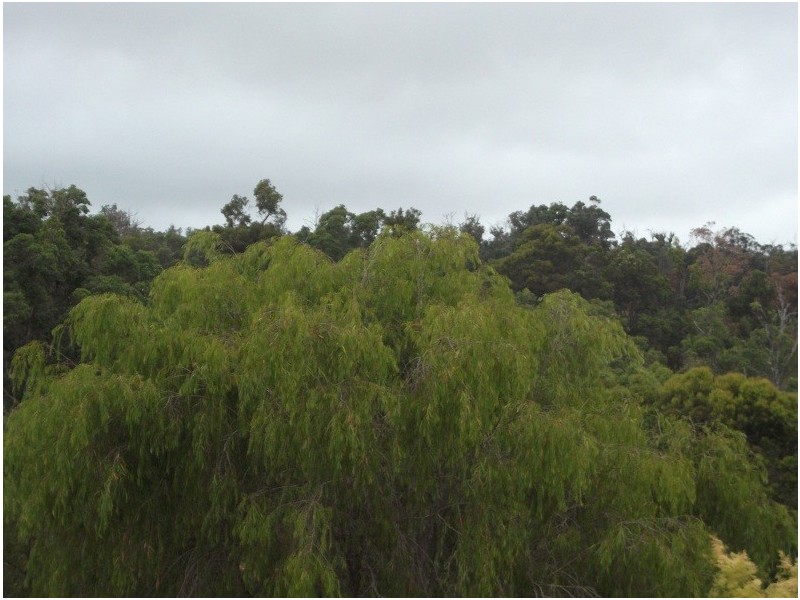 806 Balbarrup Road, Manjimup WA 6258