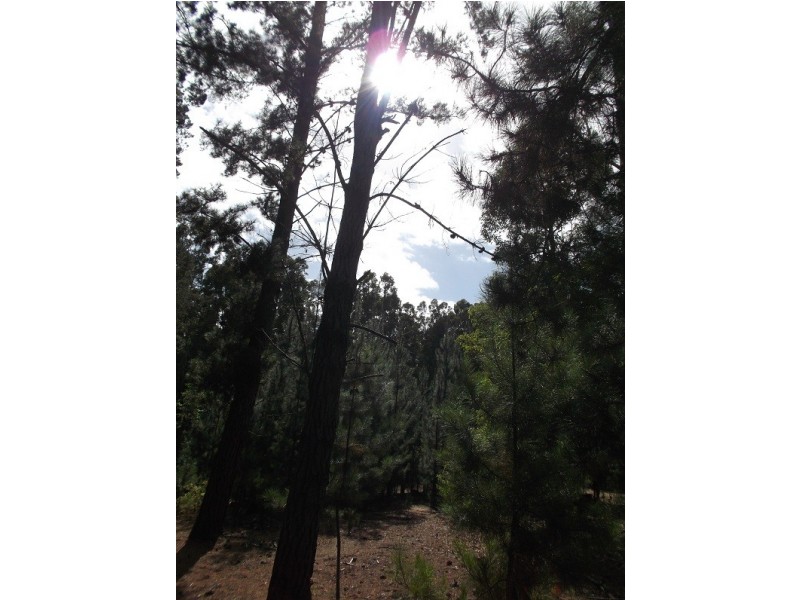 Lot 150 Karri lane, Quinninup WA 6258
