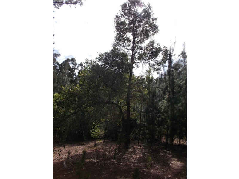 Lot 150 Karri lane, Quinninup WA 6258