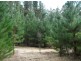 Lot 150 Karri lane, Quinninup WA 6258