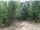 Lot 150 Karri lane, Quinninup WA 6258