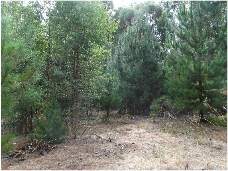 Lot 150 Karri lane, Quinninup WA 6258