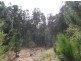 Lot 150 Karri lane, Quinninup WA 6258
