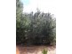 Lot 150 Karri lane, Quinninup WA 6258