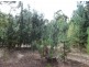 Lot 150 Karri lane, Quinninup WA 6258