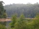 Lot 92 Karri Lane, Quinninup WA 6258