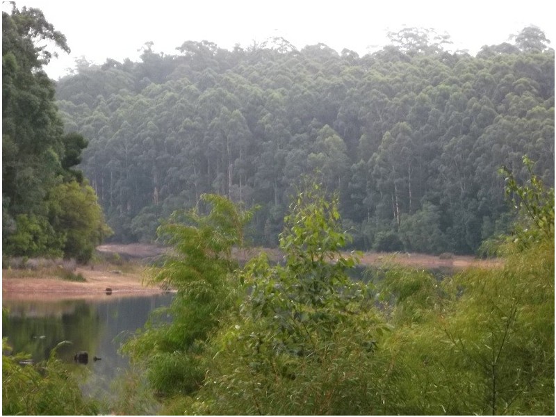 Lot 92 Karri Lane, Quinninup WA 6258