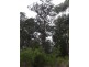 Lot 92 Karri Lane, Quinninup WA 6258