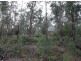Lot 92 Karri Lane, Quinninup WA 6258