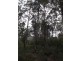 Lot 92 Karri Lane, Quinninup WA 6258