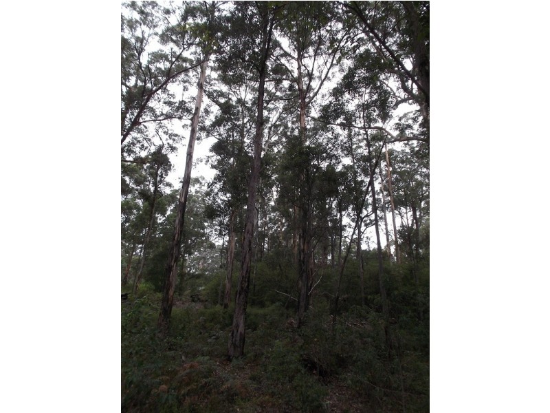 Lot 92 Karri Lane, Quinninup WA 6258