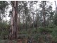 Lot 92 Karri Lane, Quinninup WA 6258