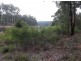 Lot 92 Karri Lane, Quinninup WA 6258