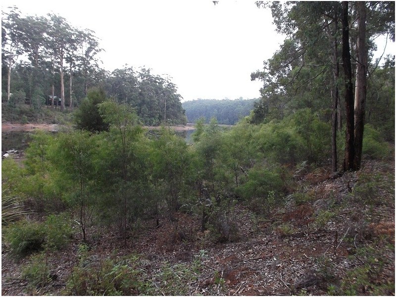 Lot 92 Karri Lane, Quinninup WA 6258