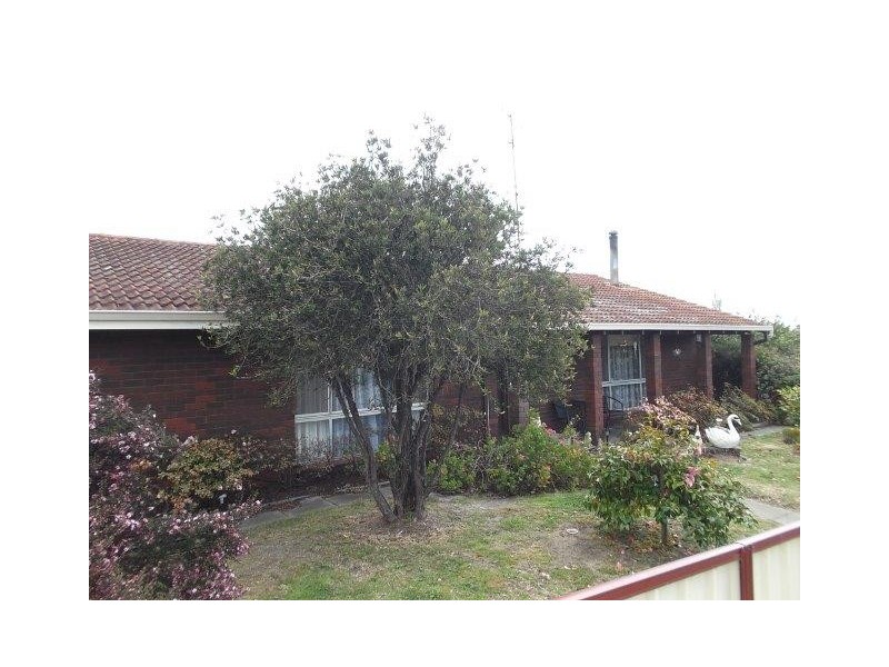 67 Moore Street, Manjimup WA 6258